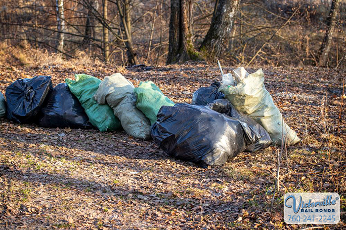 How California Deals with Illegal Dumping