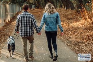 California’s Leash Laws